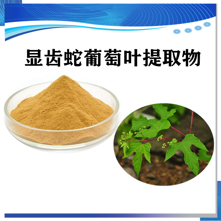 顯齒蛇葡萄葉提取物 顯齒蛇葡萄葉粉 新資源食品_其他產品.