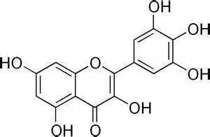 myricetin楊梅素長沙上禾生物植物提取物系列產(chǎn)品