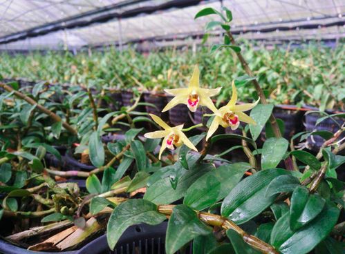 快看看你的抗初老護膚品里有沒有這些必備成分