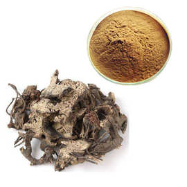 升麻植物提取物