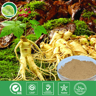 植物提取物-廠家供應(yīng) 人參 根 提取物 人參總皂甙5%-80%-植物提取物.